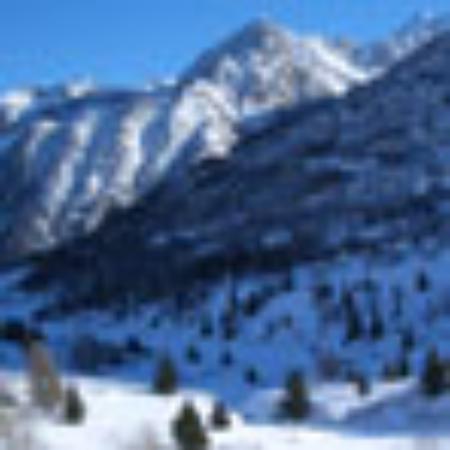 Spice It the Restaurant